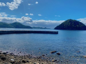 IMG_9863